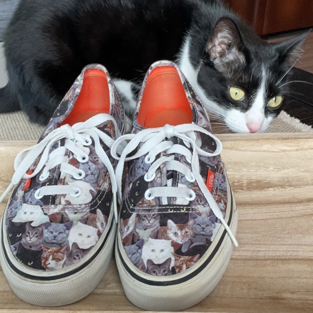 Vans Cat Canvas - Picture 2 of 16